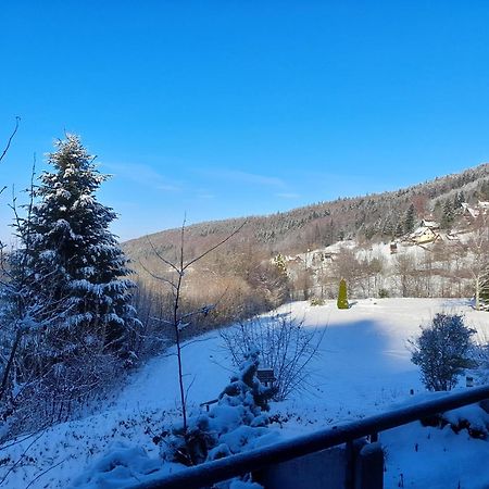 Ferienwohnung Schwarzwald Pur Sasbachwalden Exterior foto